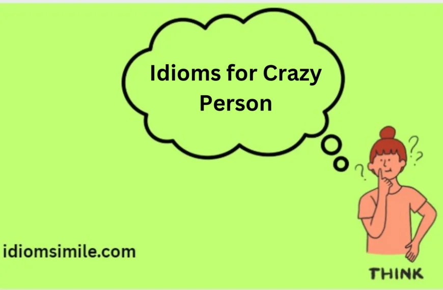 Idioms for Crazy Person