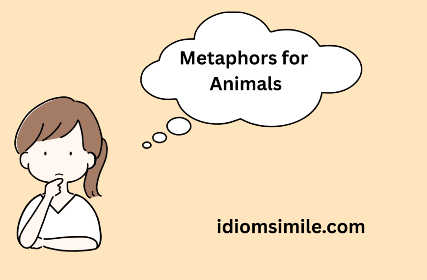 Metaphors for Animals