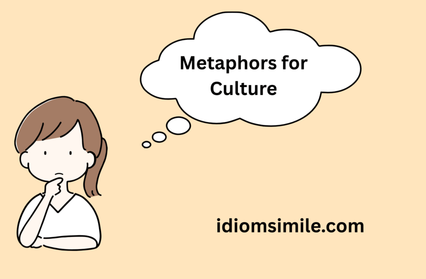 Metaphors for Culture