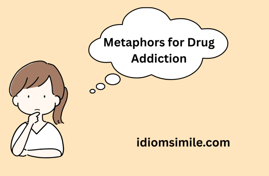 Metaphors for Drug Addiction