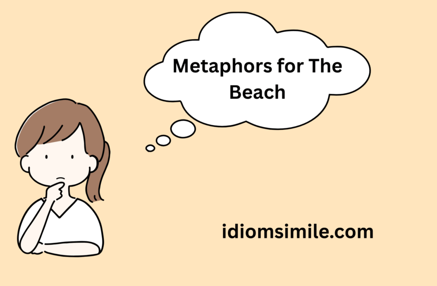 Metaphors for The Beach