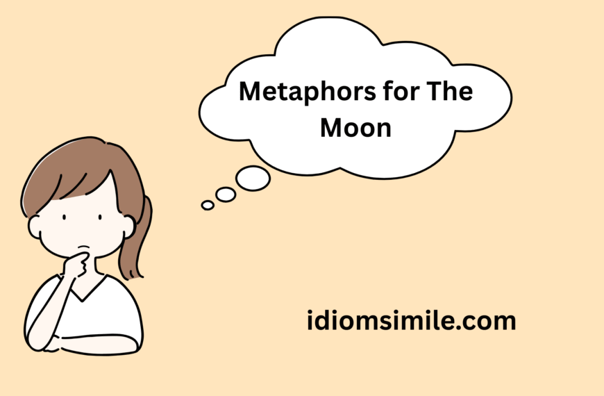 Metaphors for The Moon
