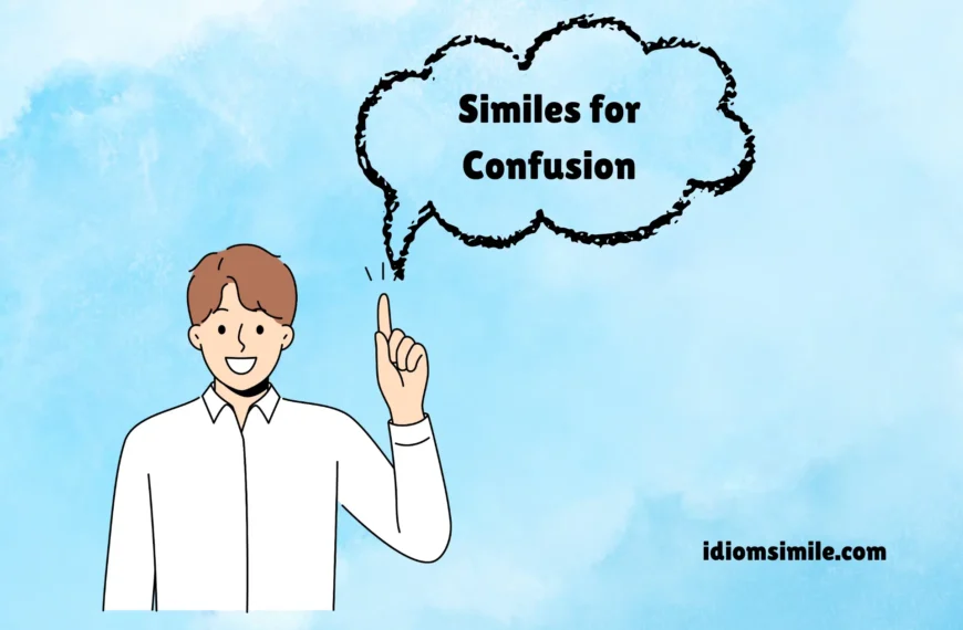 Similes for Confusion
