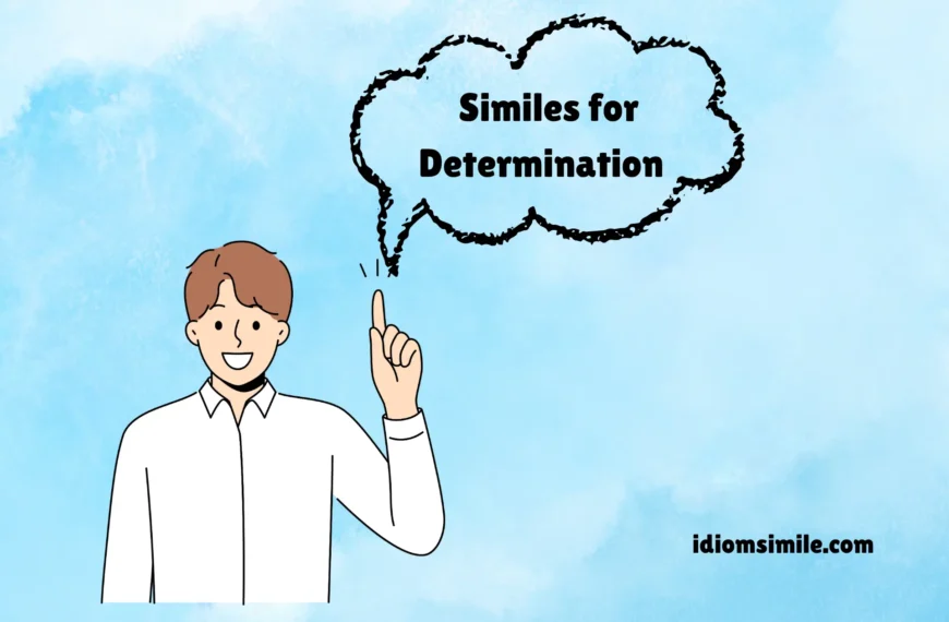 Similes for Determination